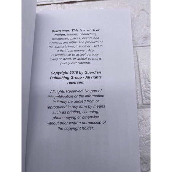 Red White And Blueberry Murder A Donut Hole Cozy Mystery Book 7 By Susan Gillard - Picture 3 of 11